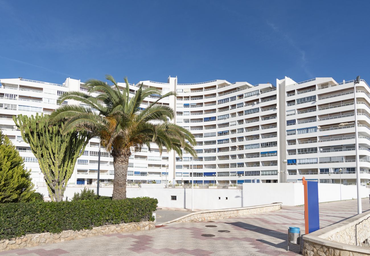 Apartamento en Cullera - PRADO, A-5º-52 PK INT 85