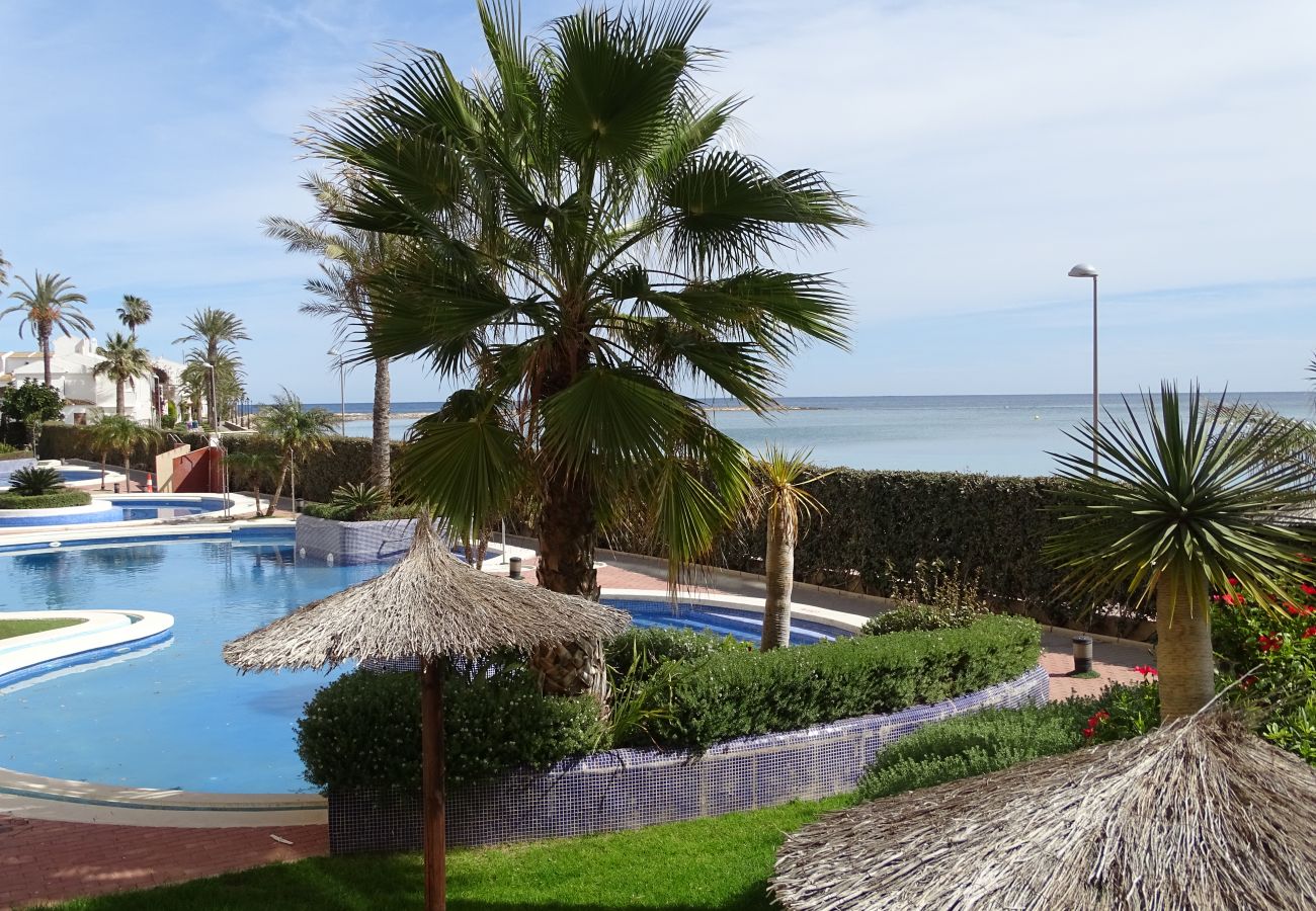 Apartamento en La Manga del Mar Menor - P.Cormorán4-2-2-8 Admer