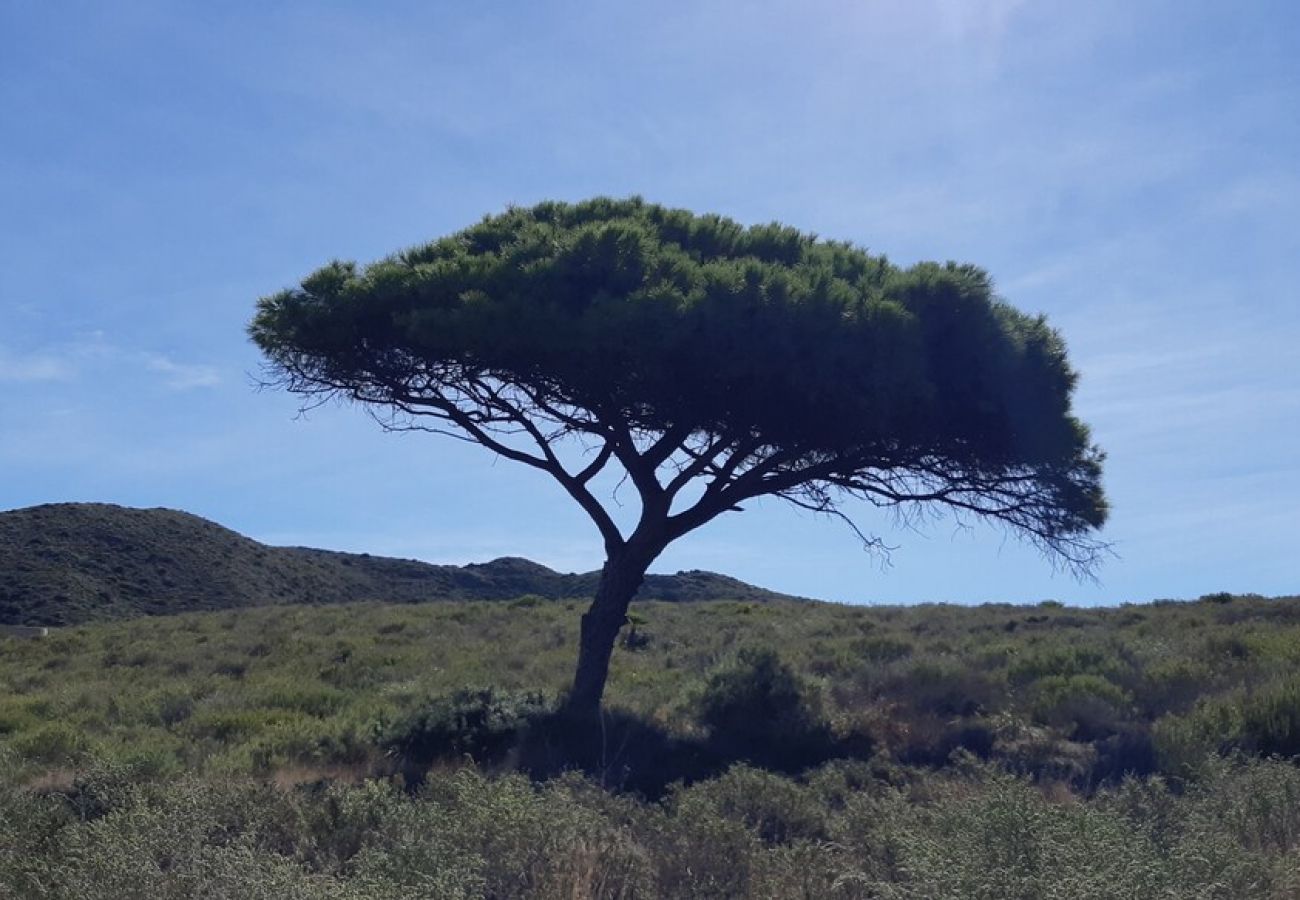 Casa rural en Cartagena - Alojamiento vacacional Calblanque junto Cabo de Pa