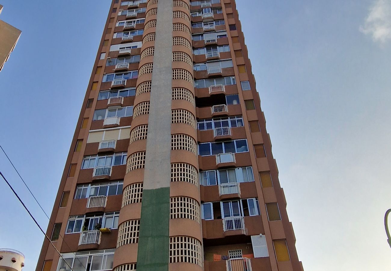 Apartamento en Benidorm - DON PACO 5B