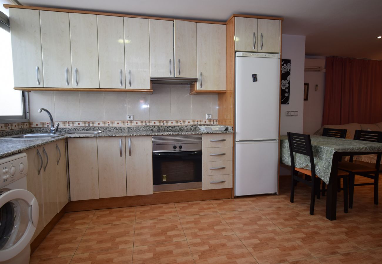 Apartamento en Benidorm - DON PACO 5B