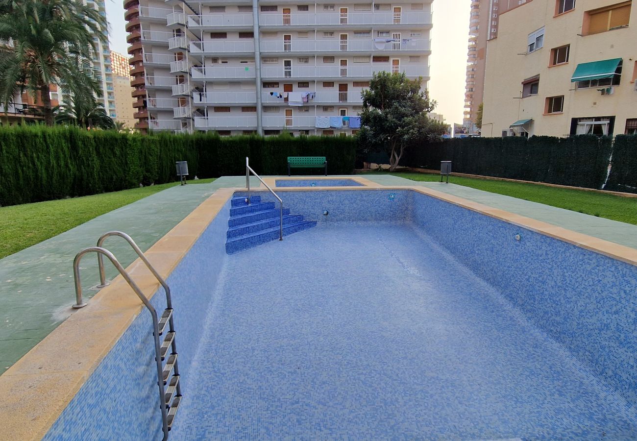 Apartamento en Benidorm - DON PACO 5B