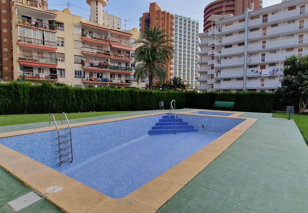 Apartamento en Benidorm - DON PACO 5B