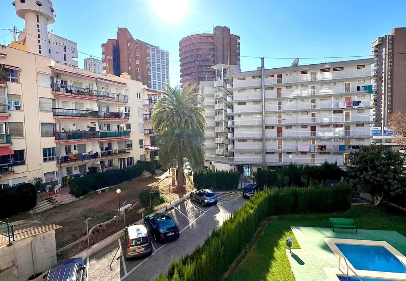 Apartamento en Benidorm - DON PACO 5B