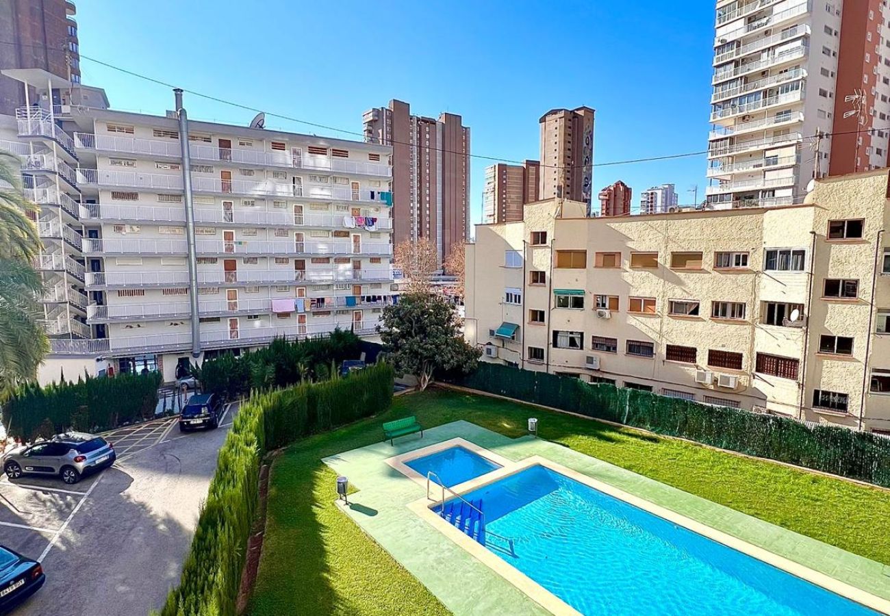 Apartamento en Benidorm - DON PACO 5B