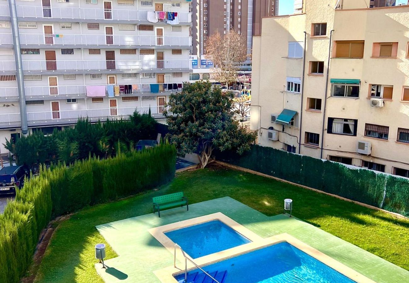 Apartamento en Benidorm - DON PACO 5B