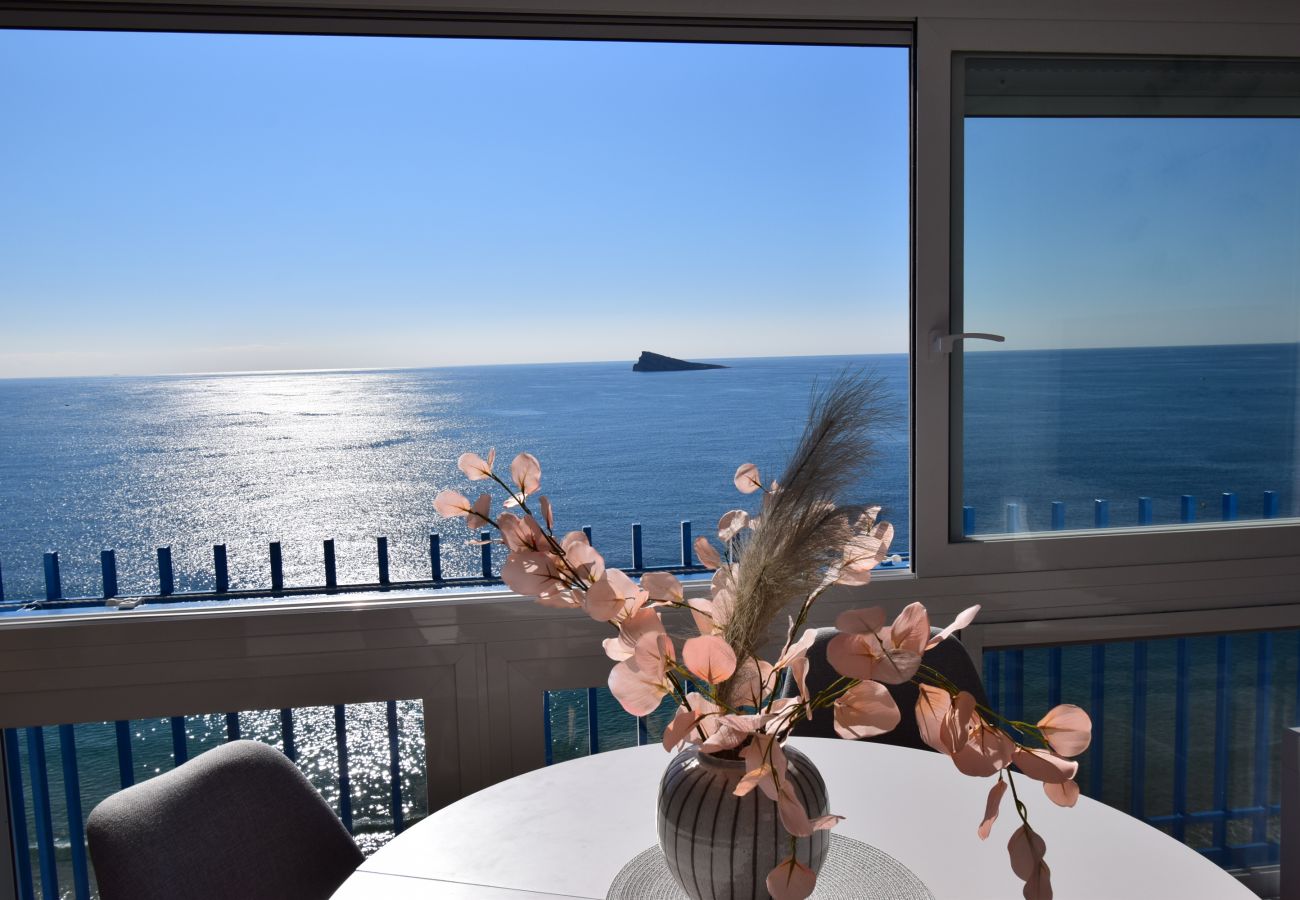 Apartamento en Benidorm - PALMERAS 18B