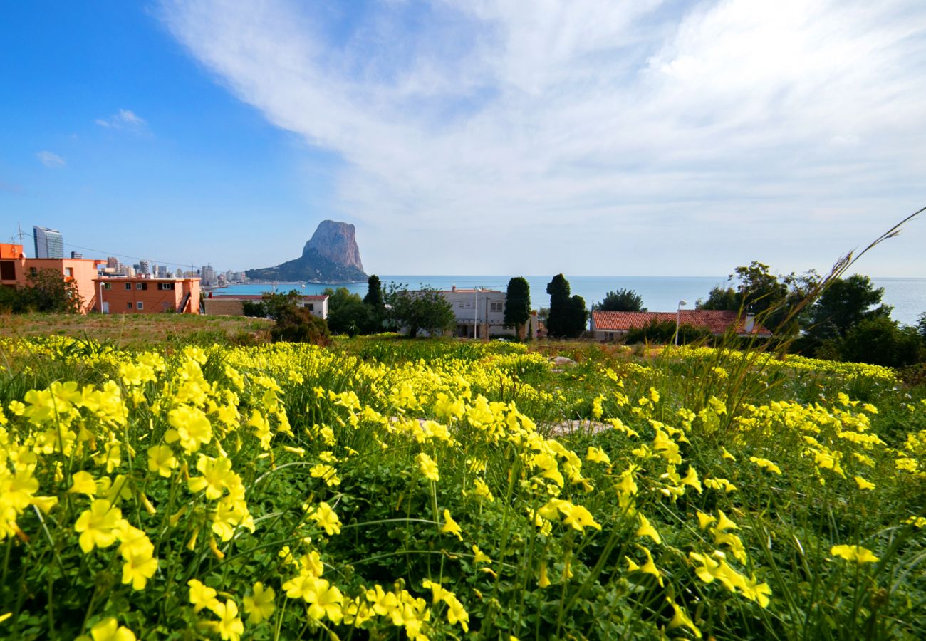 Apartamento en Calpe - BORUMBOT 4-3-26  Vista Mar