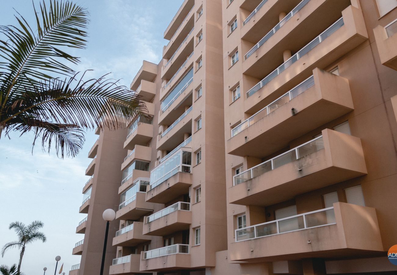 Apartamento en La Manga del Mar Menor - P.Cormorán 3-2-7-4