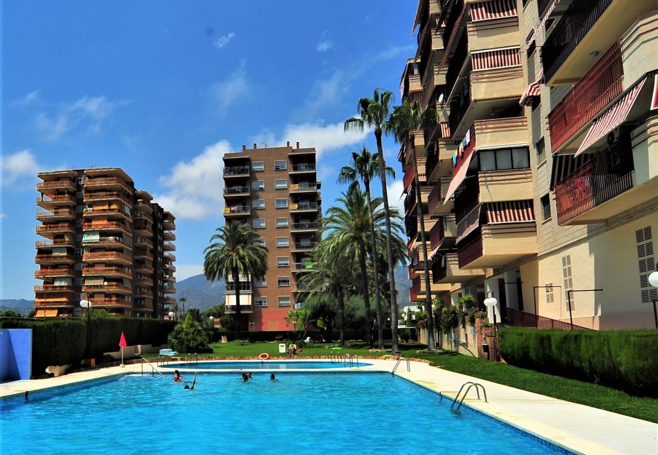 Apartamento en Benicàssim - BALI 404