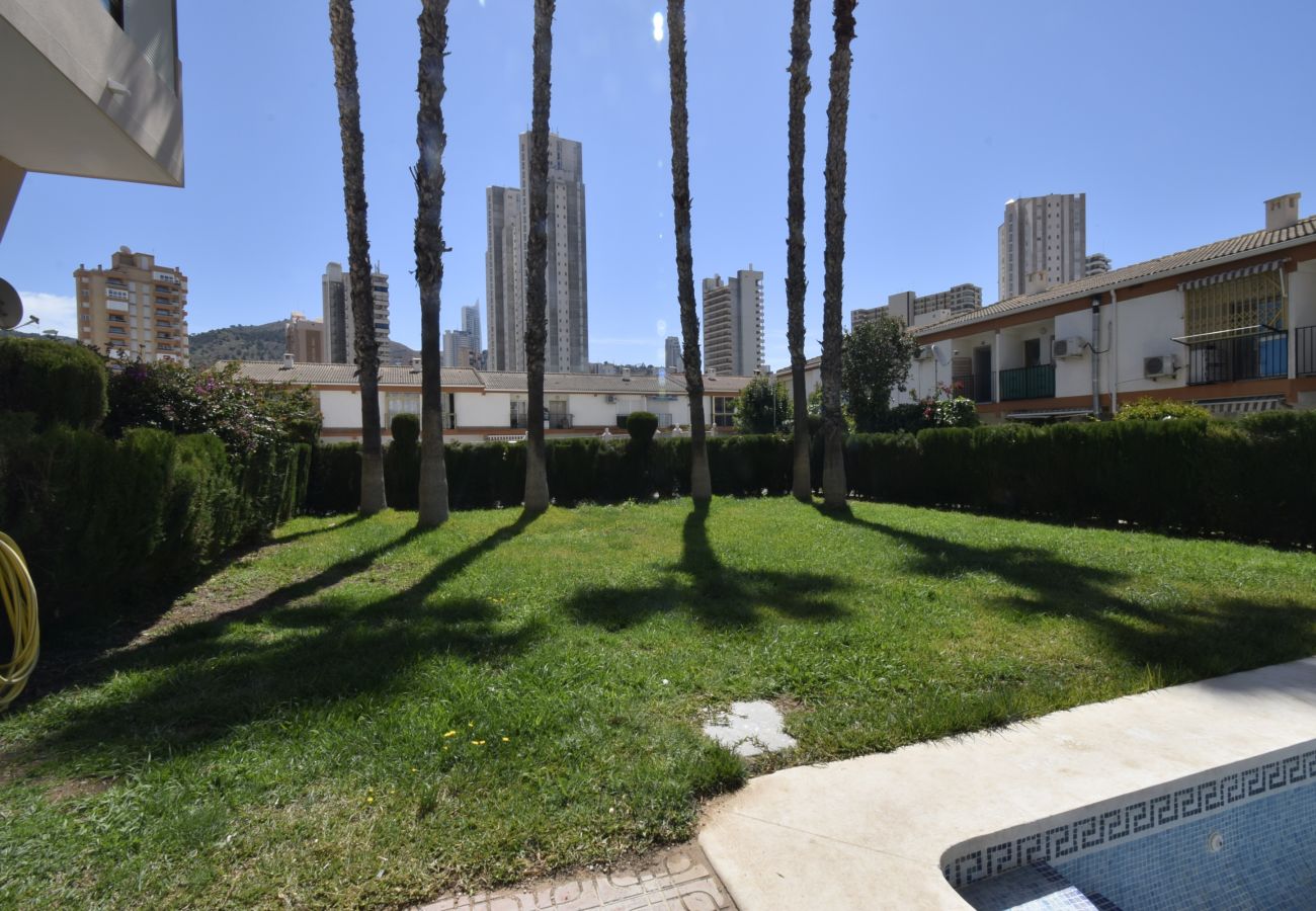 Apartamento en Benidorm - MARISCAL 6 8B