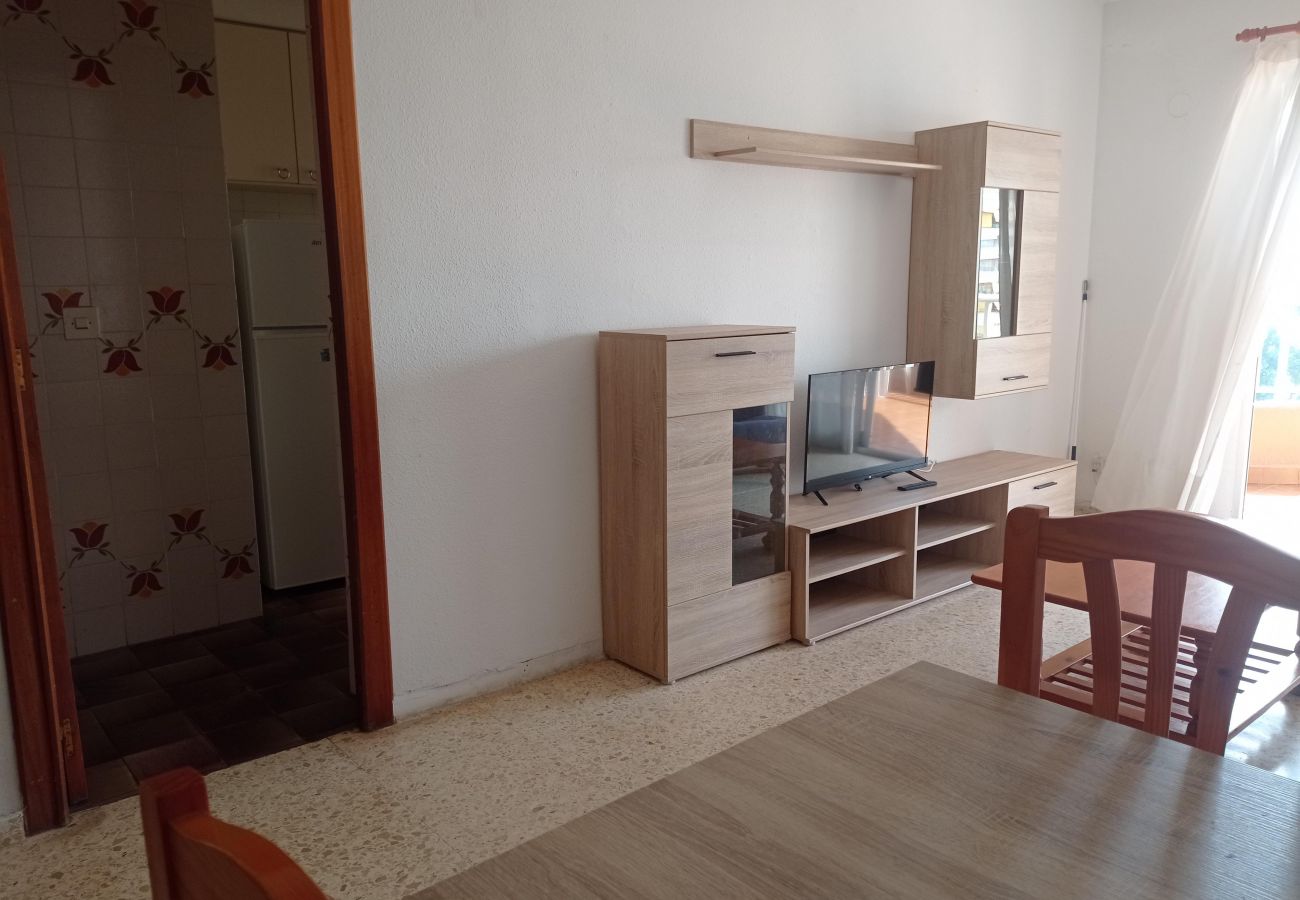 Apartamento en Playa de Gandía - 1.Tahiti Bl.A Esc.I 5º pta.B