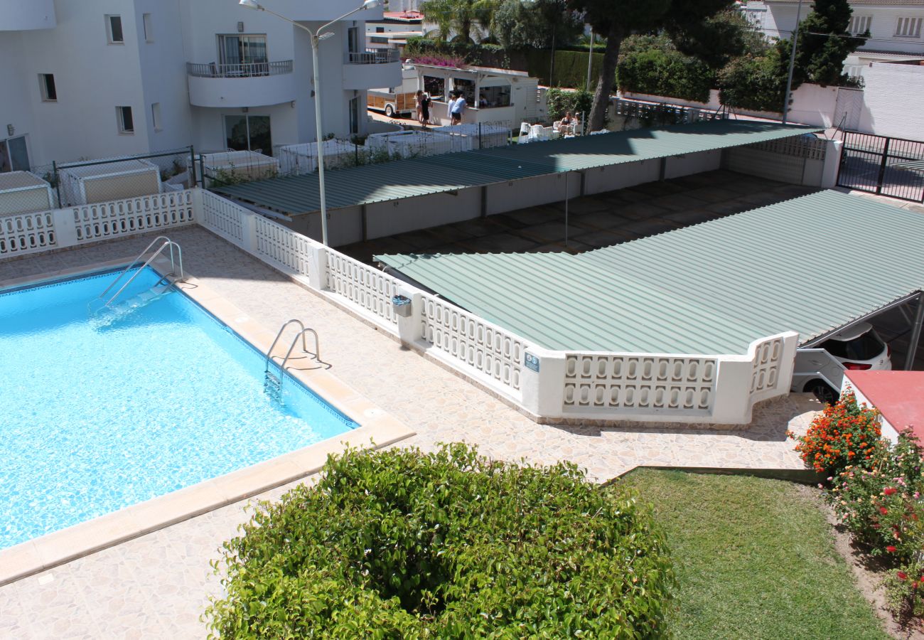 Apartamento en Playa de Gandía - 1.Flamingo 1º pta 7 C