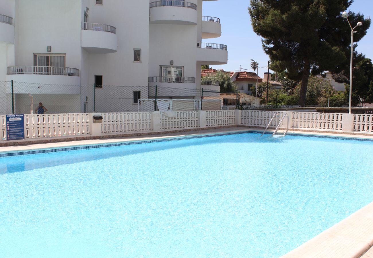 Apartamento en Playa de Gandía - 1.Flamingo 1º pta 7 C