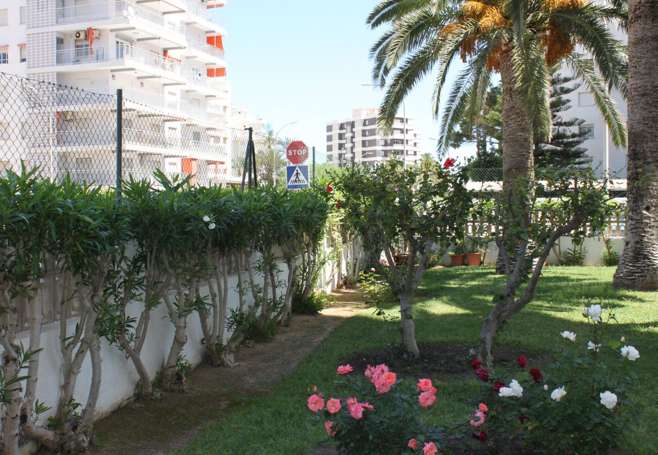 Apartamento en Playa de Gandía - 1.Flamingo 1º pta 7 C