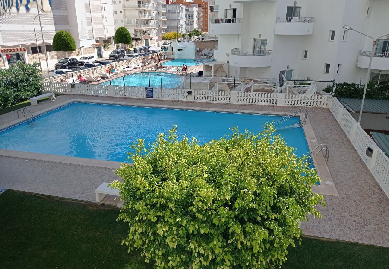 Apartamento en Playa de Gandía - 1.Flamingo 1º pta 7 C