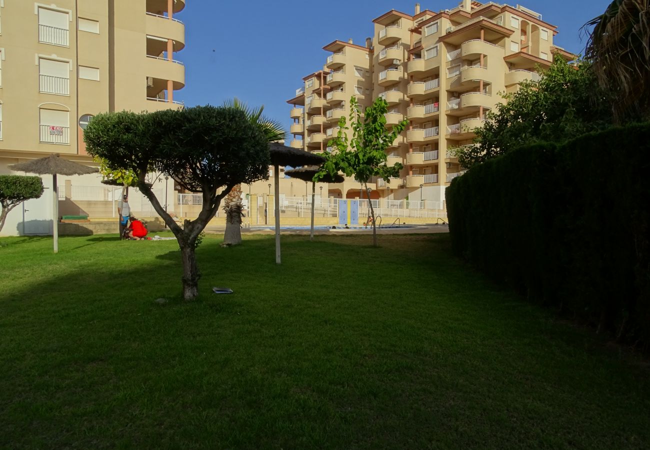 Apartamento en La Manga del Mar Menor - C. Veneziola A-5ºK Admer