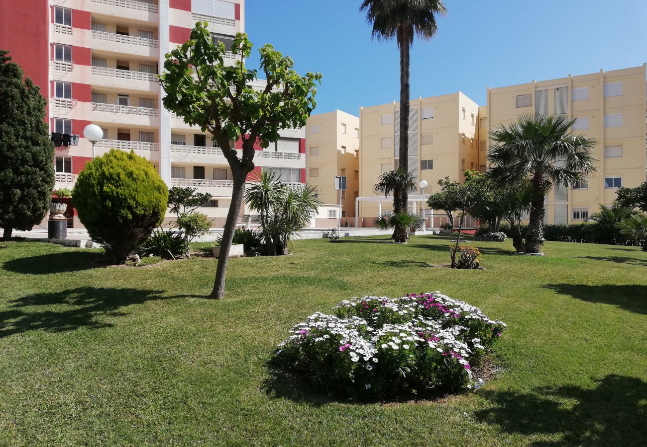 Apartamento en Playa de Gandía - 1.Don Ximo 13º pta 68