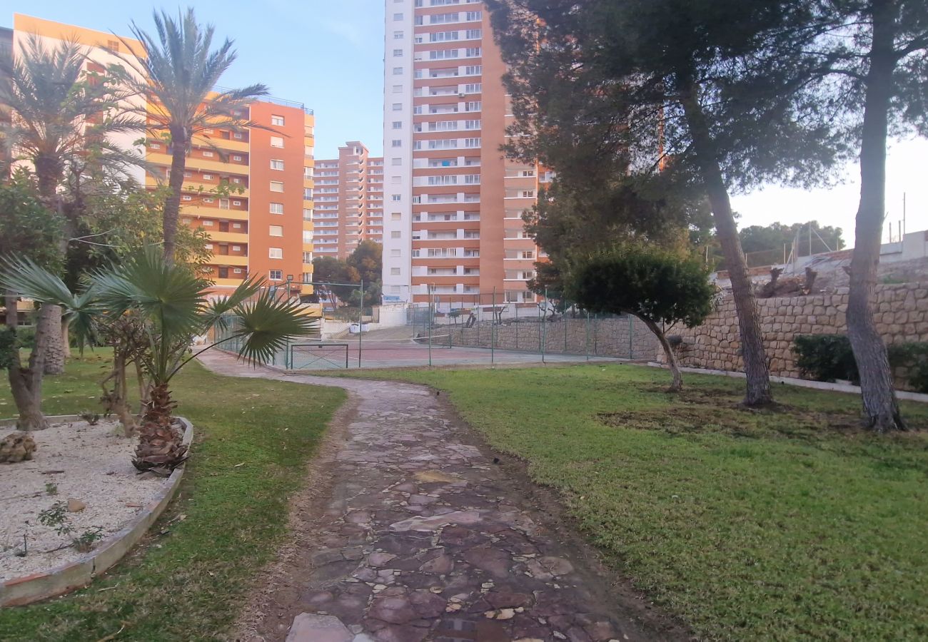 Apartamento en Benidorm - TORRE SAN SEBASTIAN 2E1