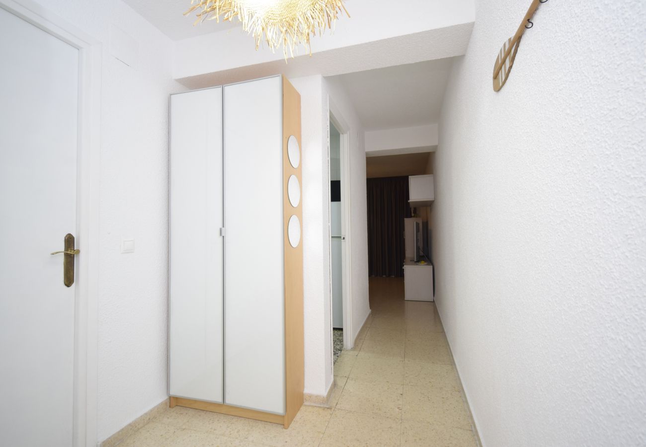 Apartamento en Benidorm - TORRE SAN SEBASTIAN 2E1