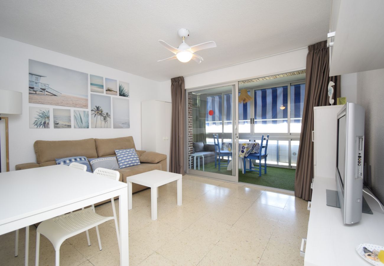 Apartamento en Benidorm - TORRE SAN SEBASTIAN 2E1