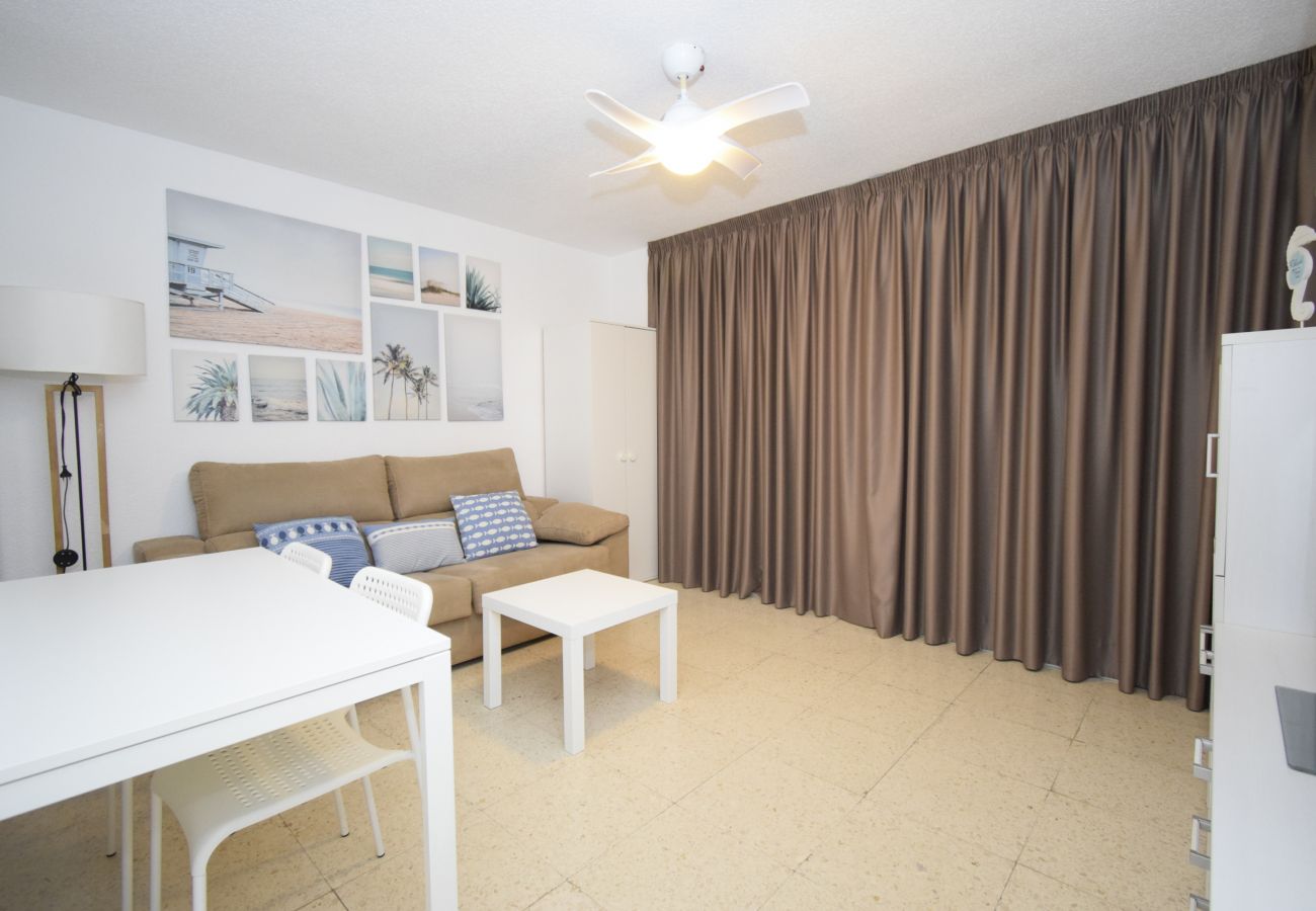 Apartamento en Benidorm - TORRE SAN SEBASTIAN 2E1