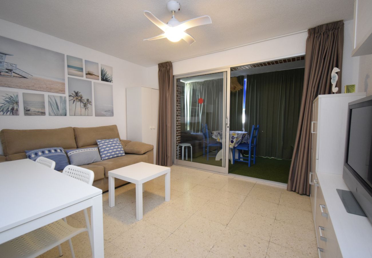 Apartamento en Benidorm - TORRE SAN SEBASTIAN 2E1