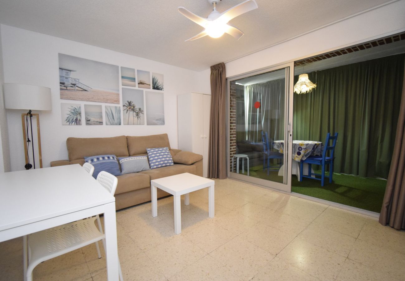 Apartamento en Benidorm - TORRE SAN SEBASTIAN 2E1