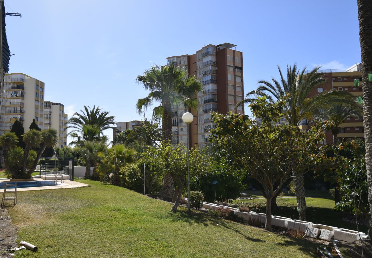 Apartamento en Benidorm - TORRE SAN SEBASTIAN 2E1