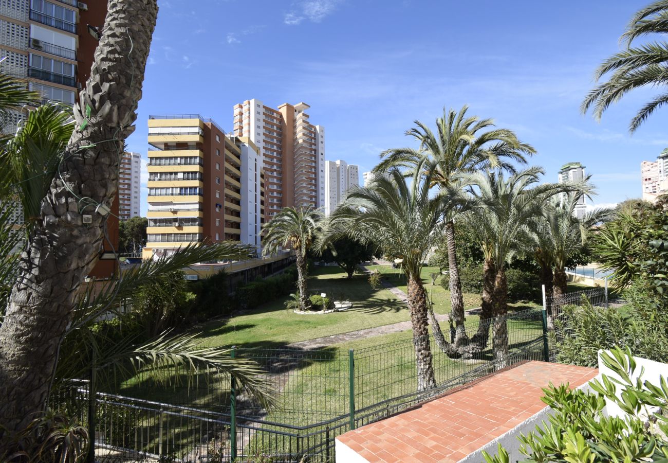 Apartamento en Benidorm - TORRE SAN SEBASTIAN 2E1