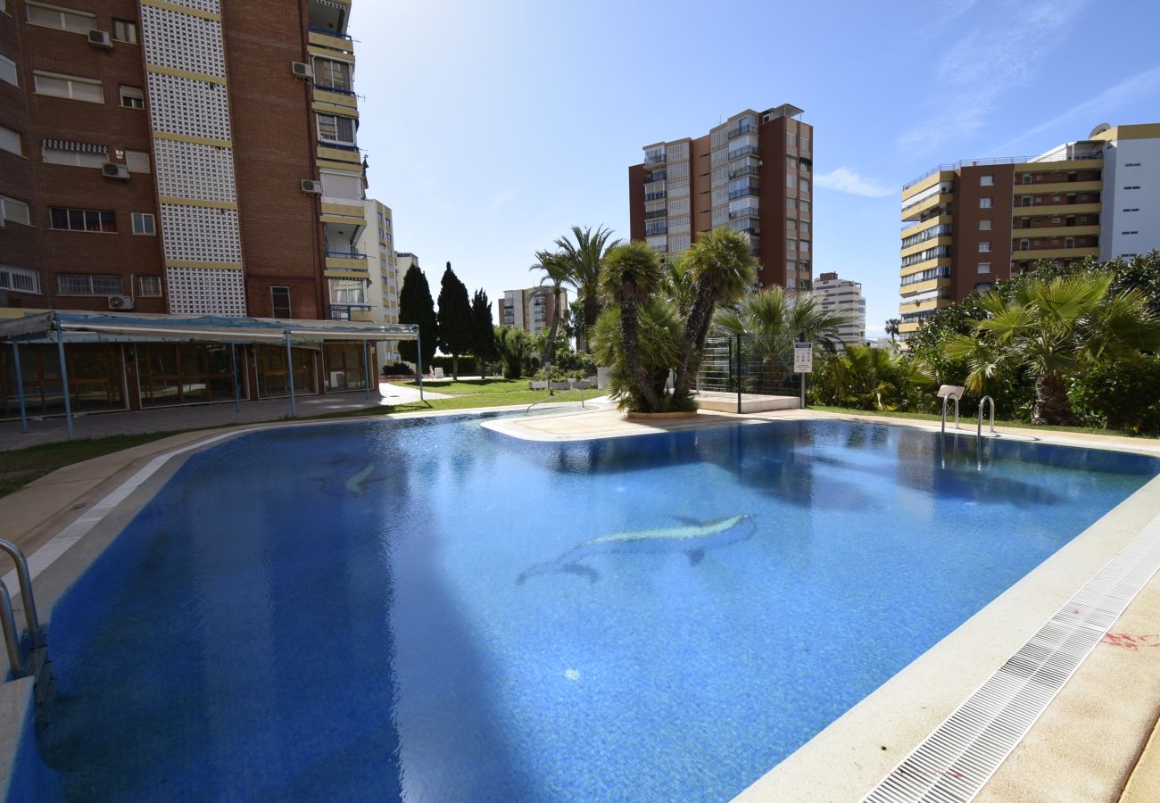 Apartamento en Benidorm - TORRE SAN SEBASTIAN 2E1