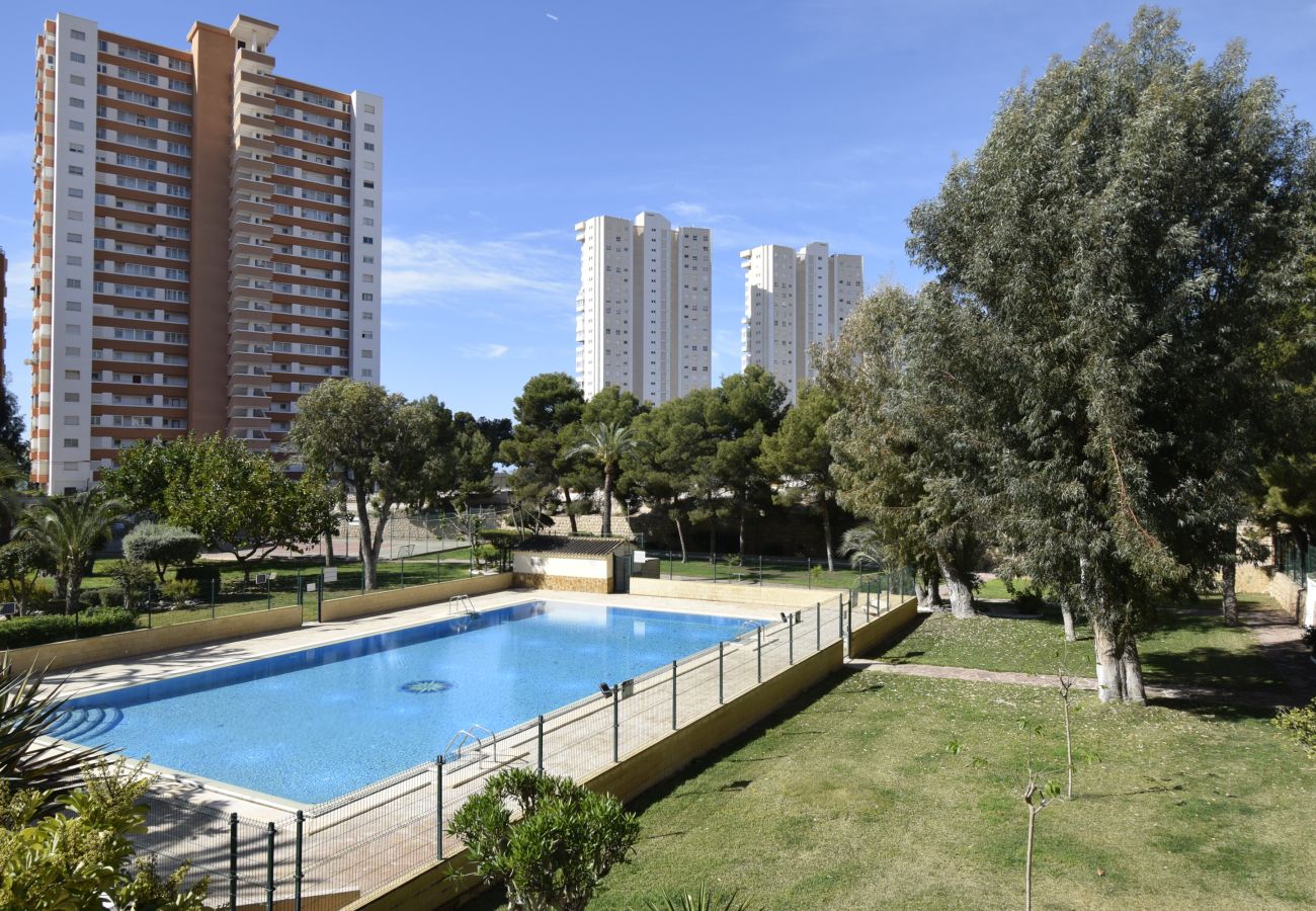 Apartamento en Benidorm - TORRE SAN SEBASTIAN 2E1