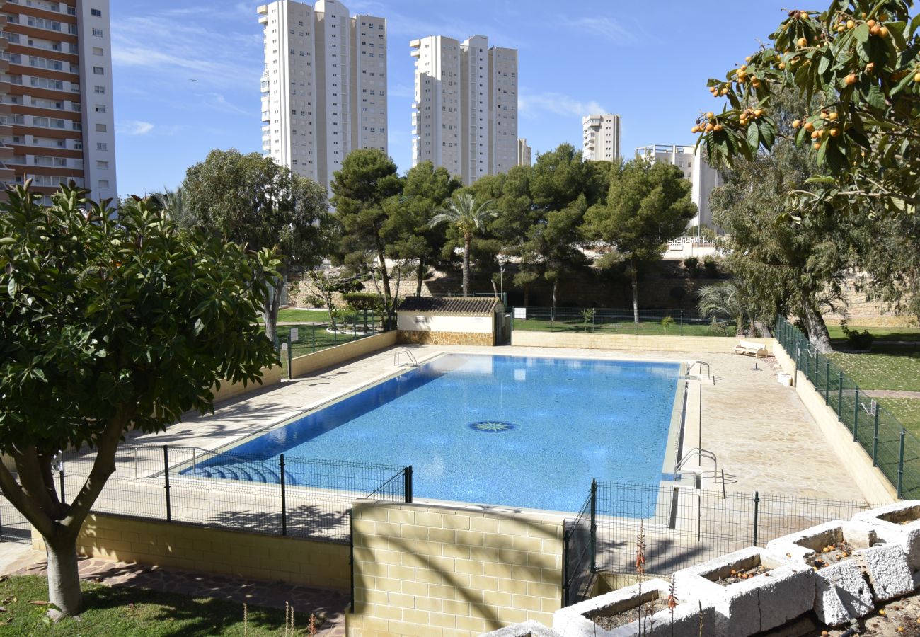 Apartamento en Benidorm - TORRE SAN SEBASTIAN 2E1