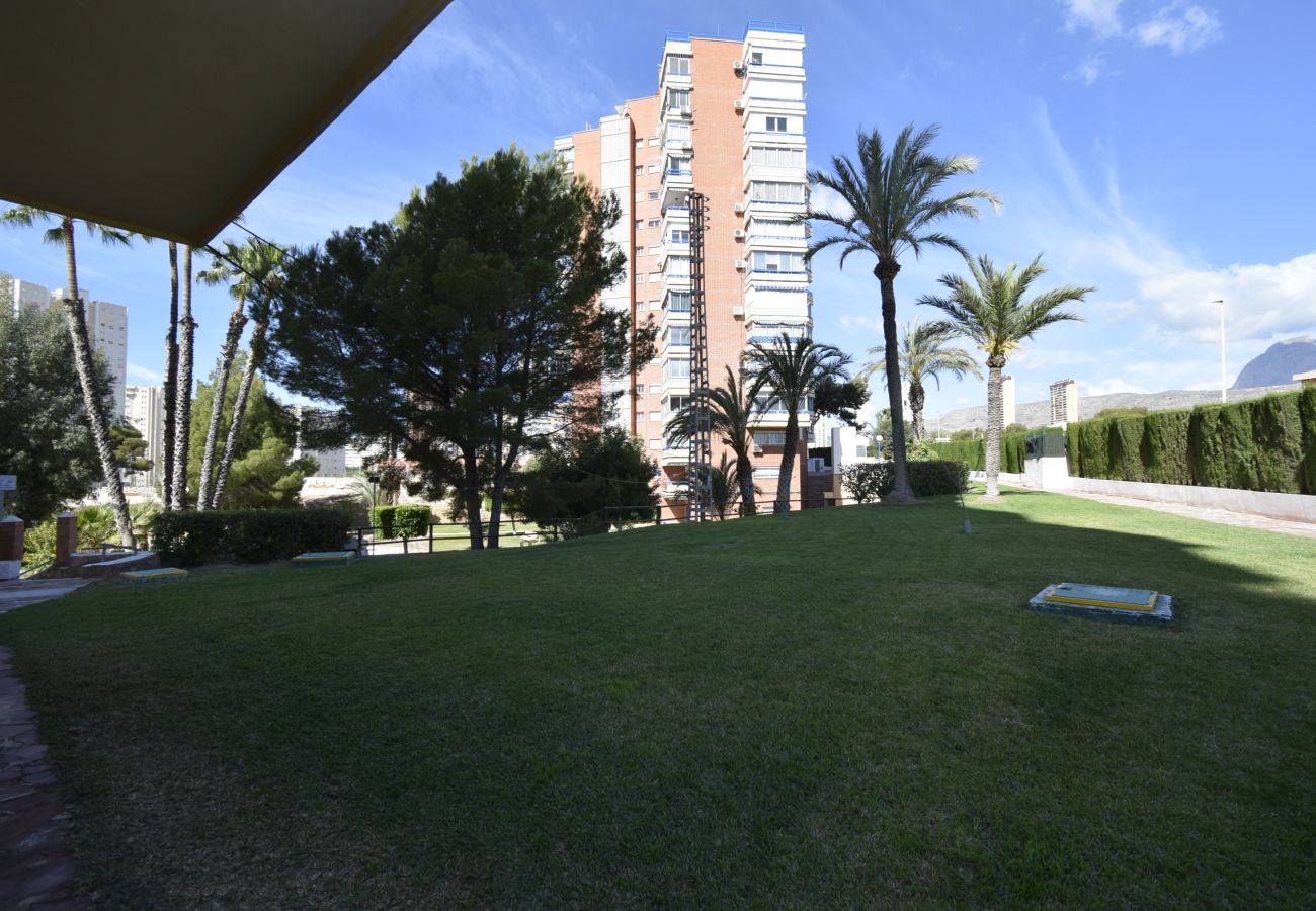 Apartamento en Benidorm - TORRE SAN SEBASTIAN 2E1