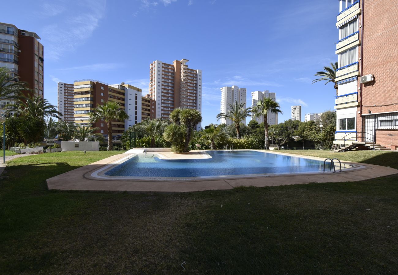 Apartamento en Benidorm - TORRE SAN SEBASTIAN 2E1