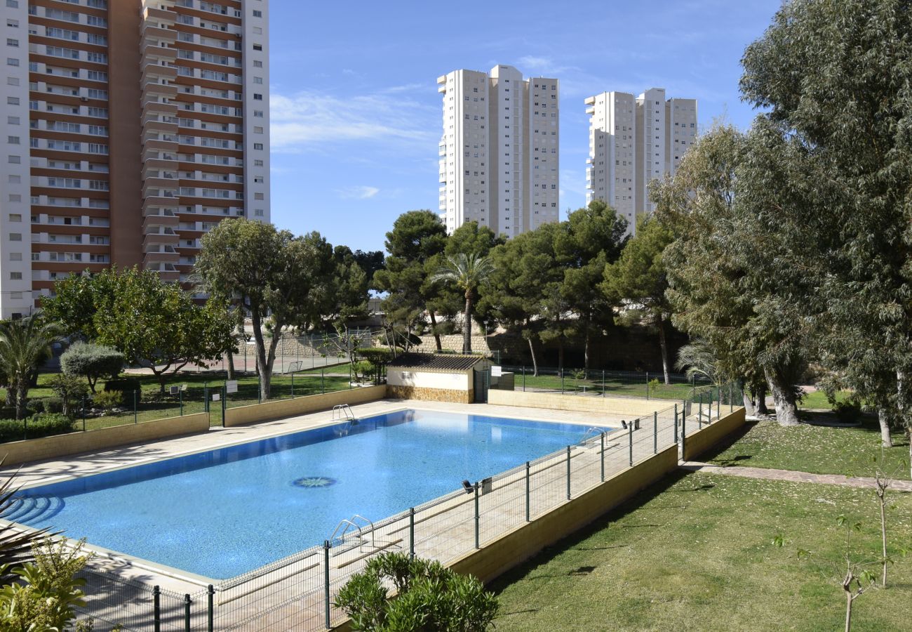 Apartamento en Benidorm - TORRE SAN SEBASTIAN 2E1