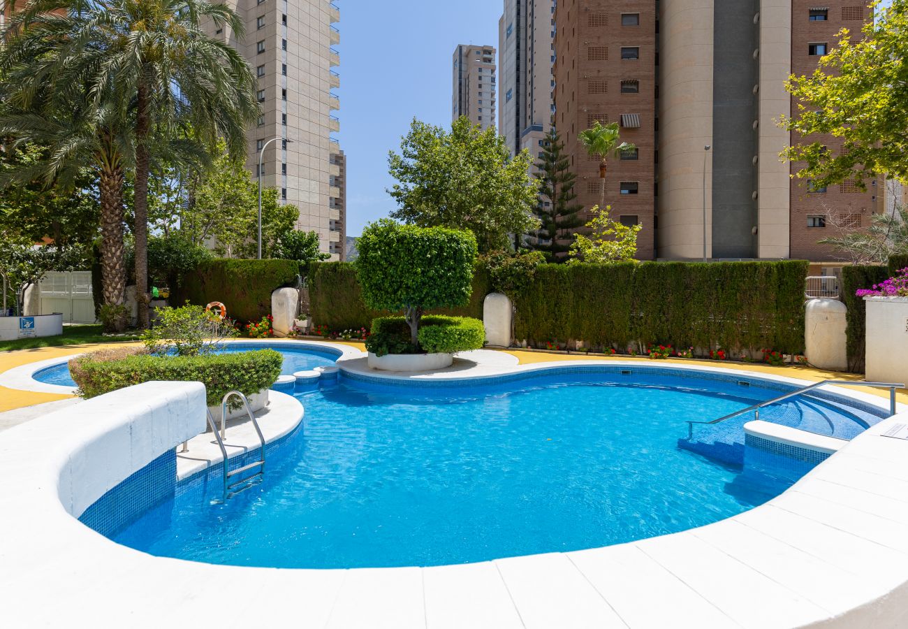 Apartamento en Benidorm - Mediterranean Blue by Fidalsa