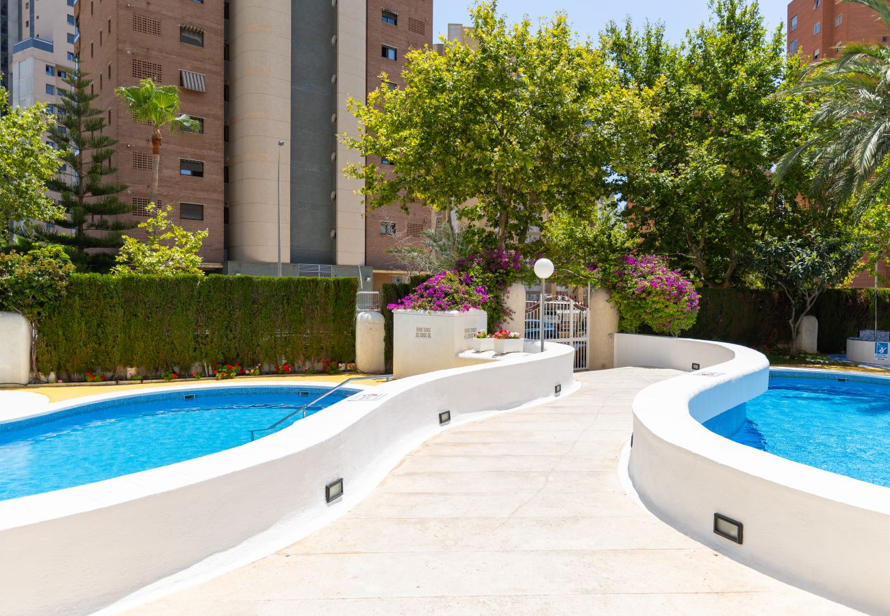 Apartamento en Benidorm - Mediterranean Blue by Fidalsa