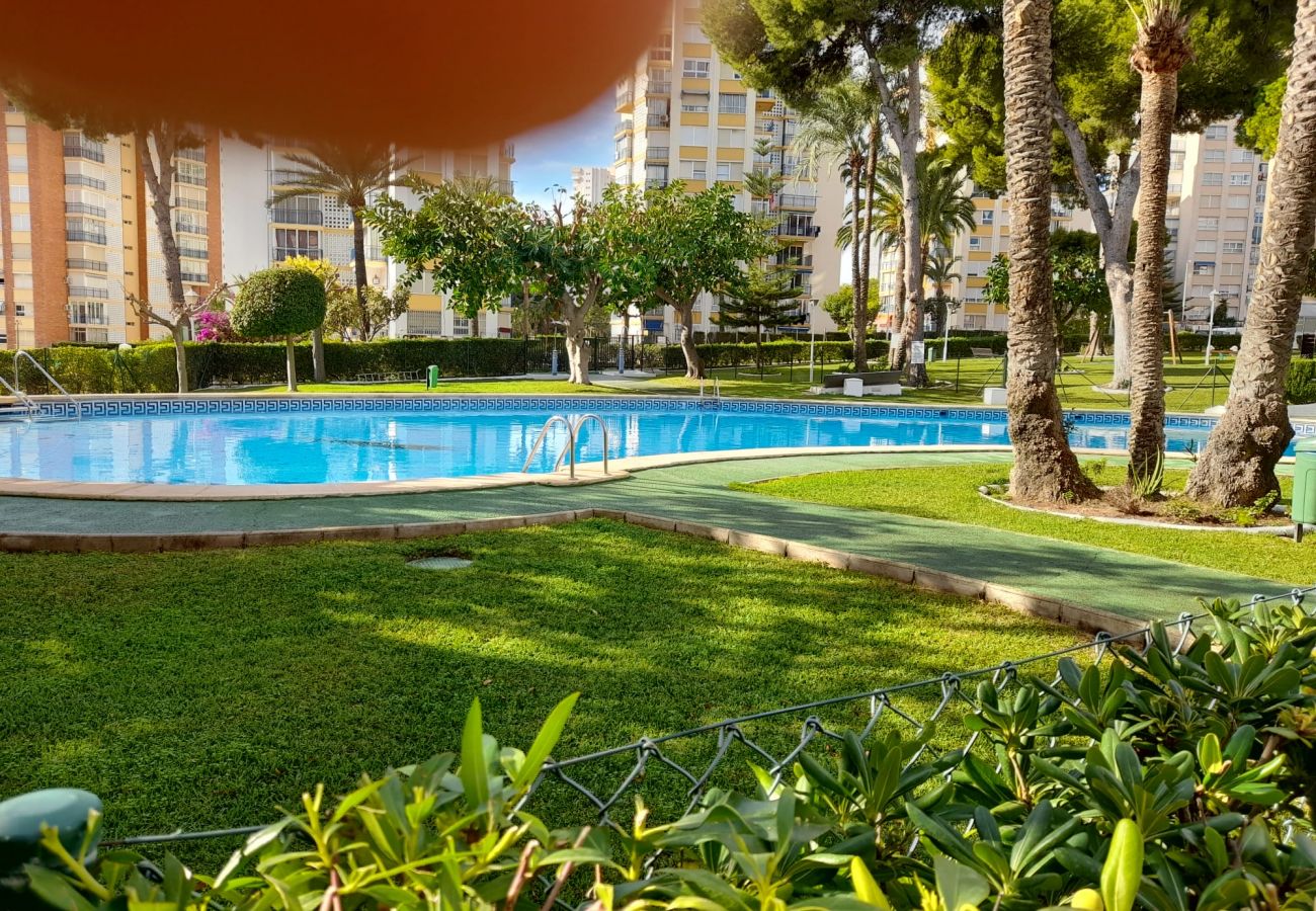 Apartamento en Benidorm - URBANIZACION MIRAMAR 1057