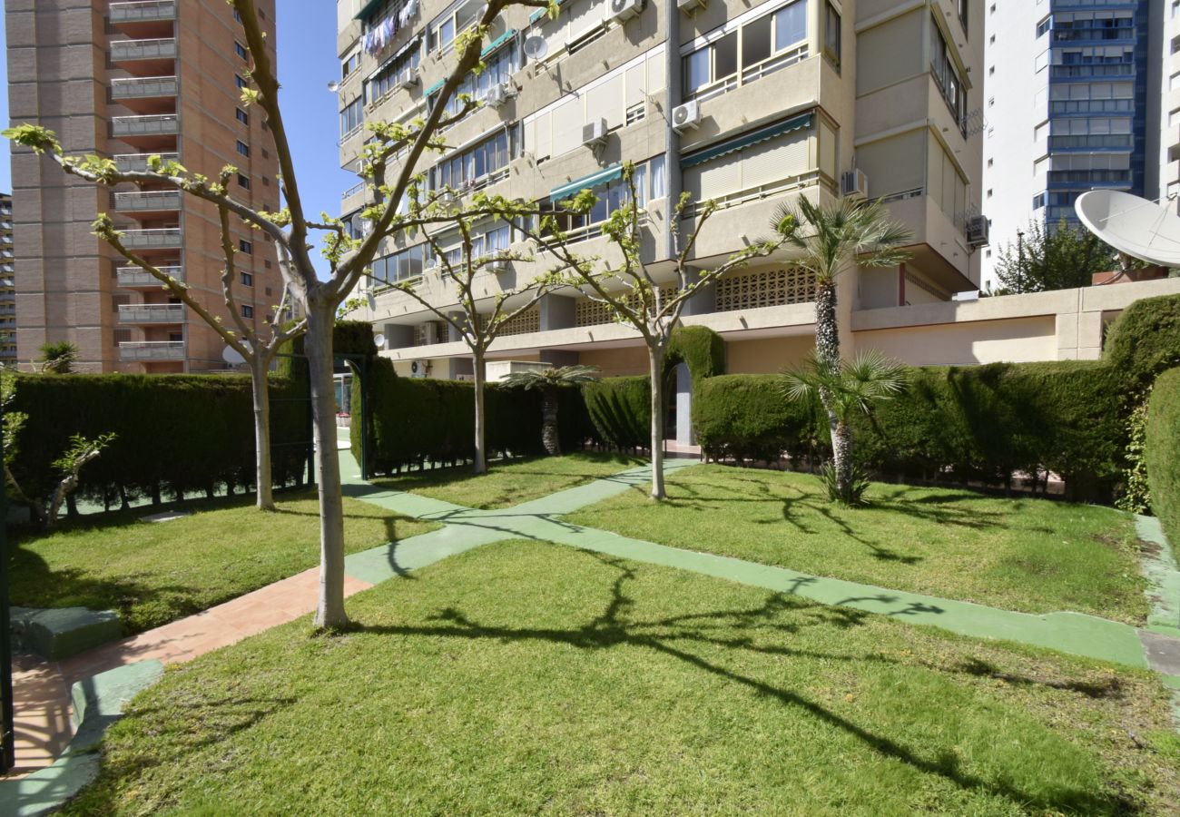 Apartamento en Benidorm - MARISCAL 4 4C