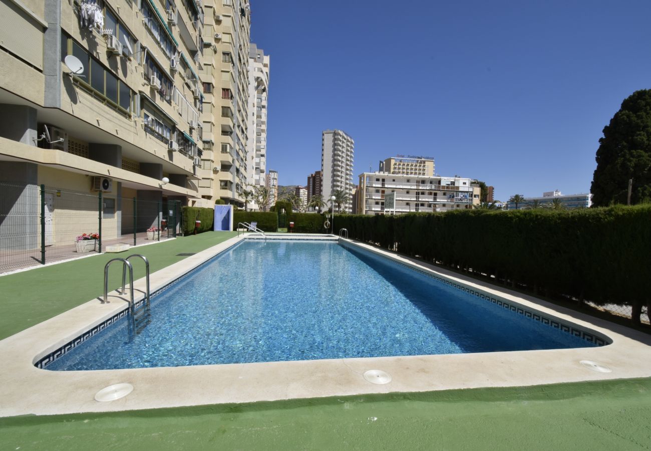 Apartamento en Benidorm - MARISCAL 4 4C