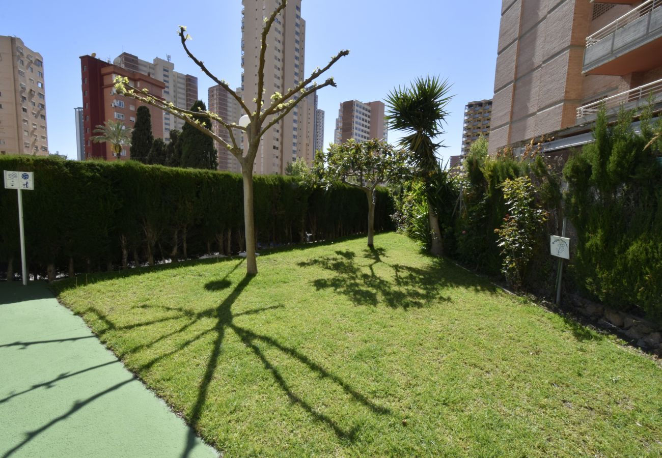 Apartamento en Benidorm - MARISCAL 4 4C