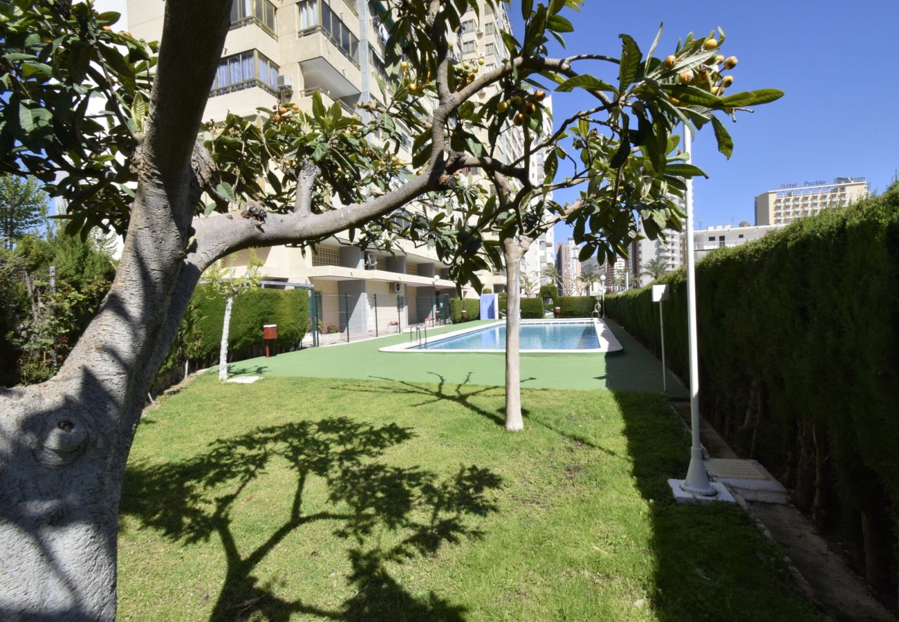 Apartamento en Benidorm - MARISCAL 4 4C