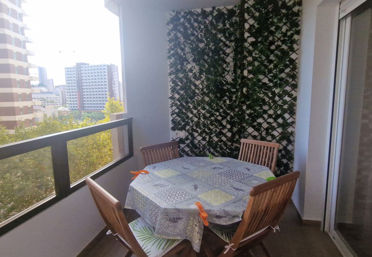 Apartamento en Benidorm - MARISCAL 3  5I