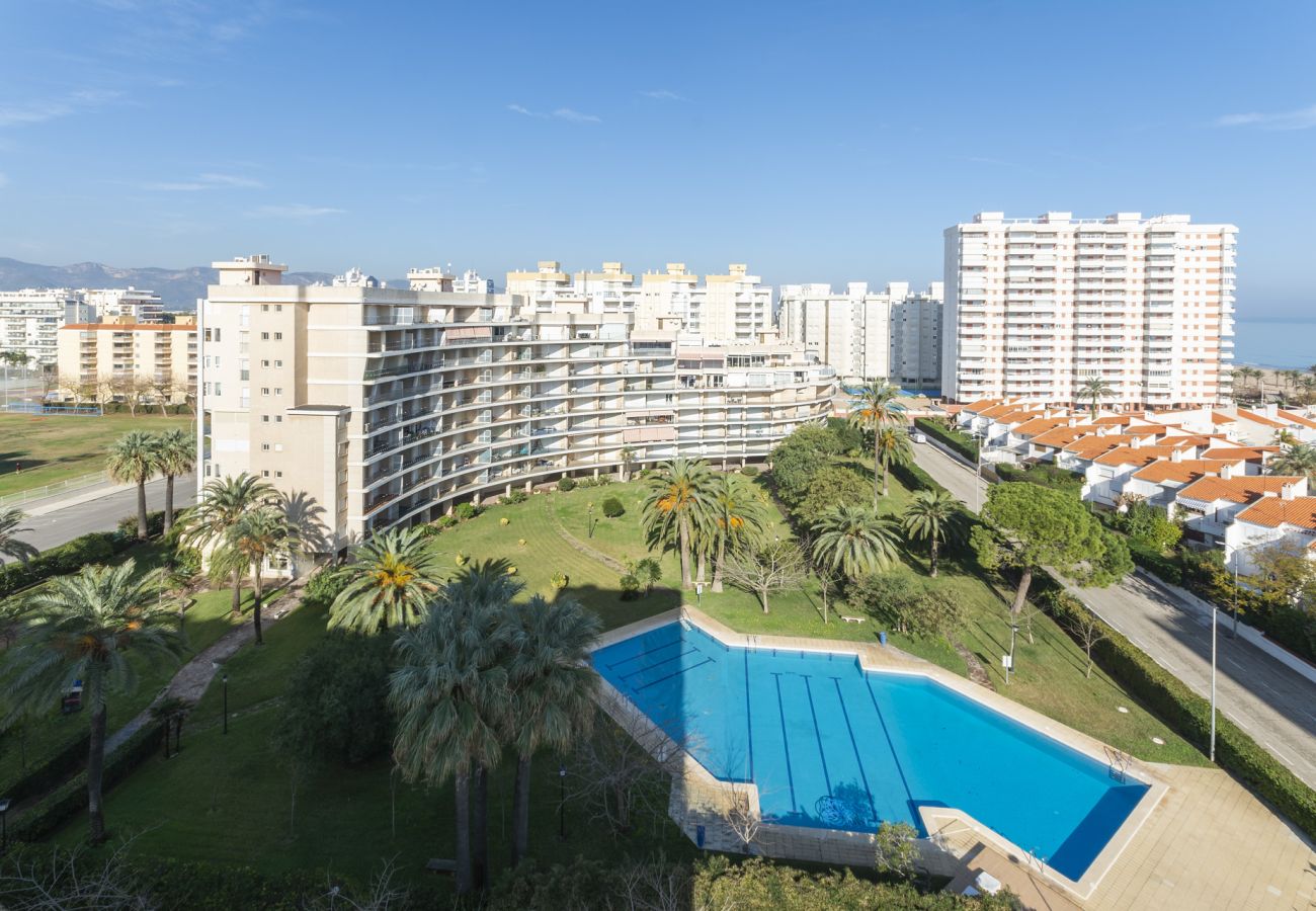 Apartamento en Playa de Gandía - 45. AG SALINAS 9