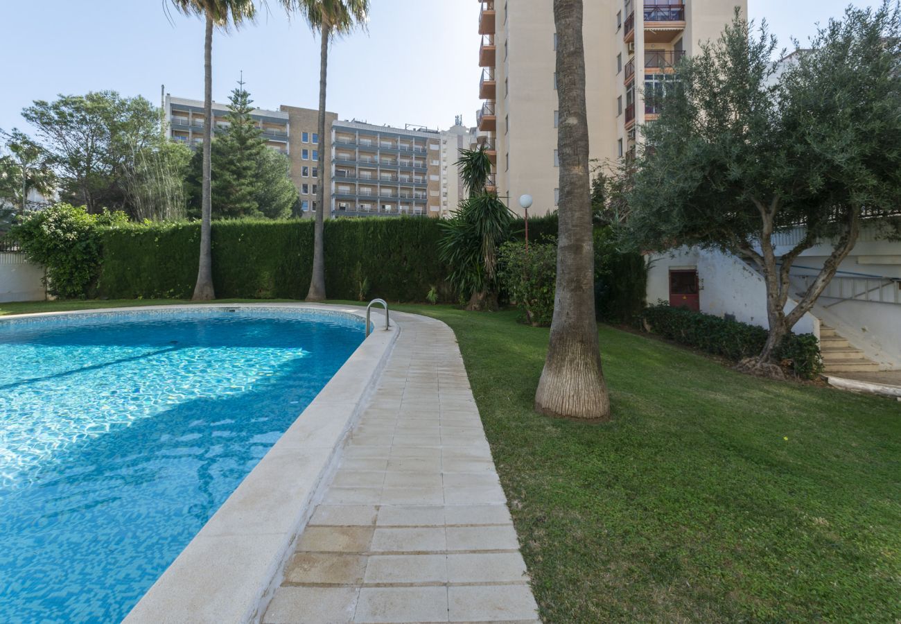 Apartamento en Playa de Gandía - 45. AG SALINAS 9