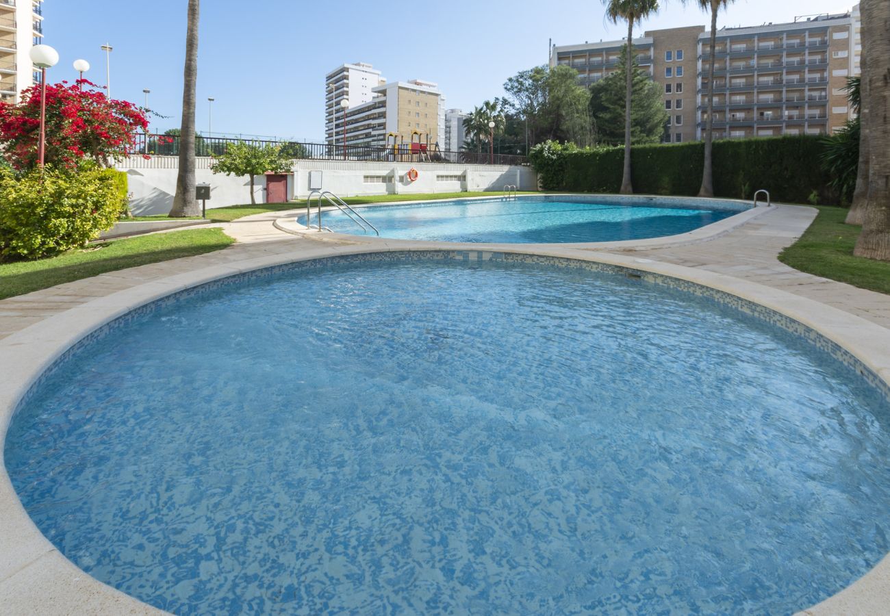 Apartamento en Playa de Gandía - 45. AG SALINAS 9