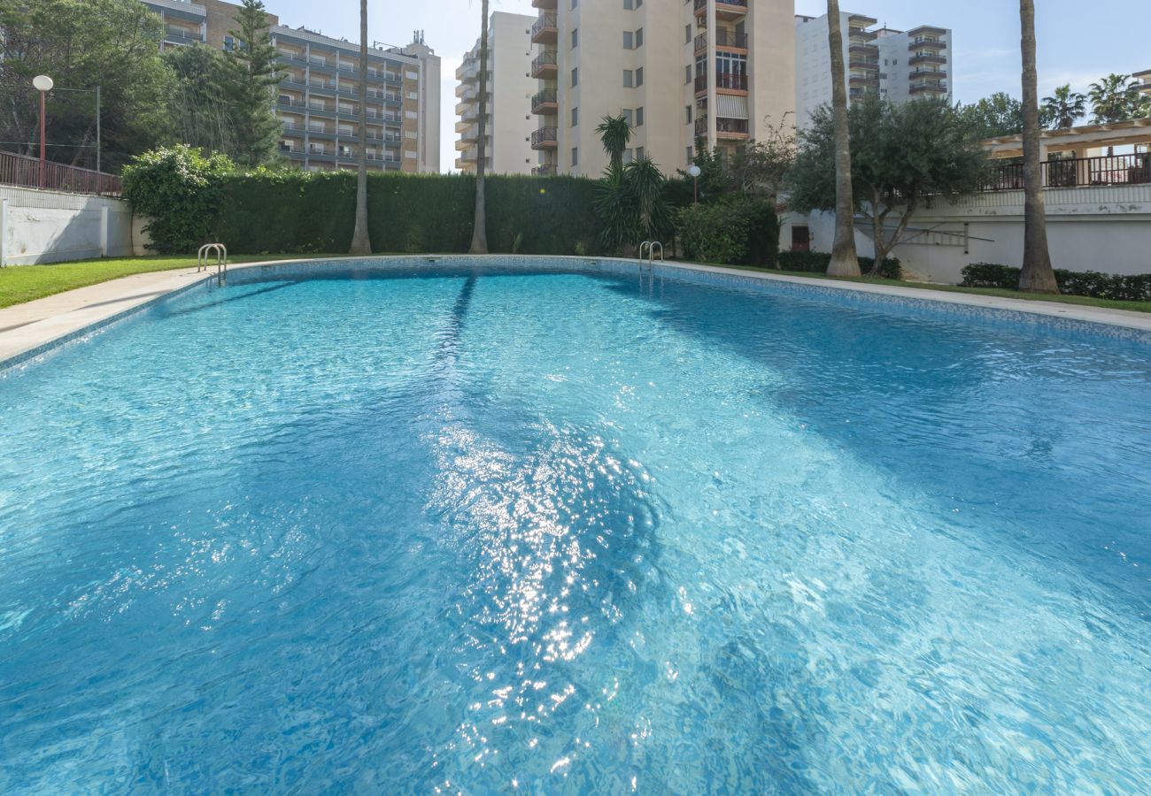 Apartamento en Playa de Gandía - 45. AG SALINAS 9