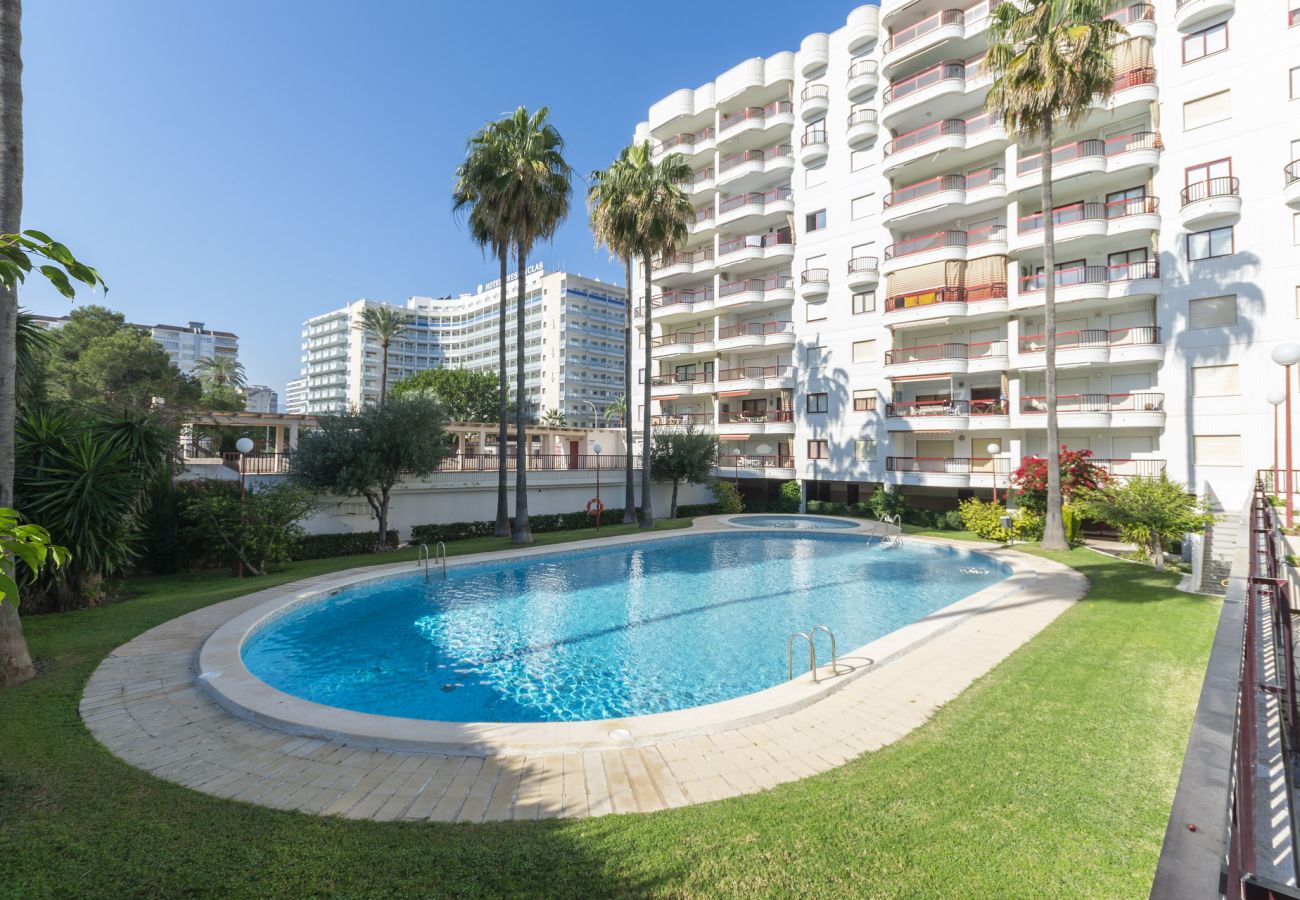 Apartamento en Playa de Gandía - 45. AG SALINAS 9