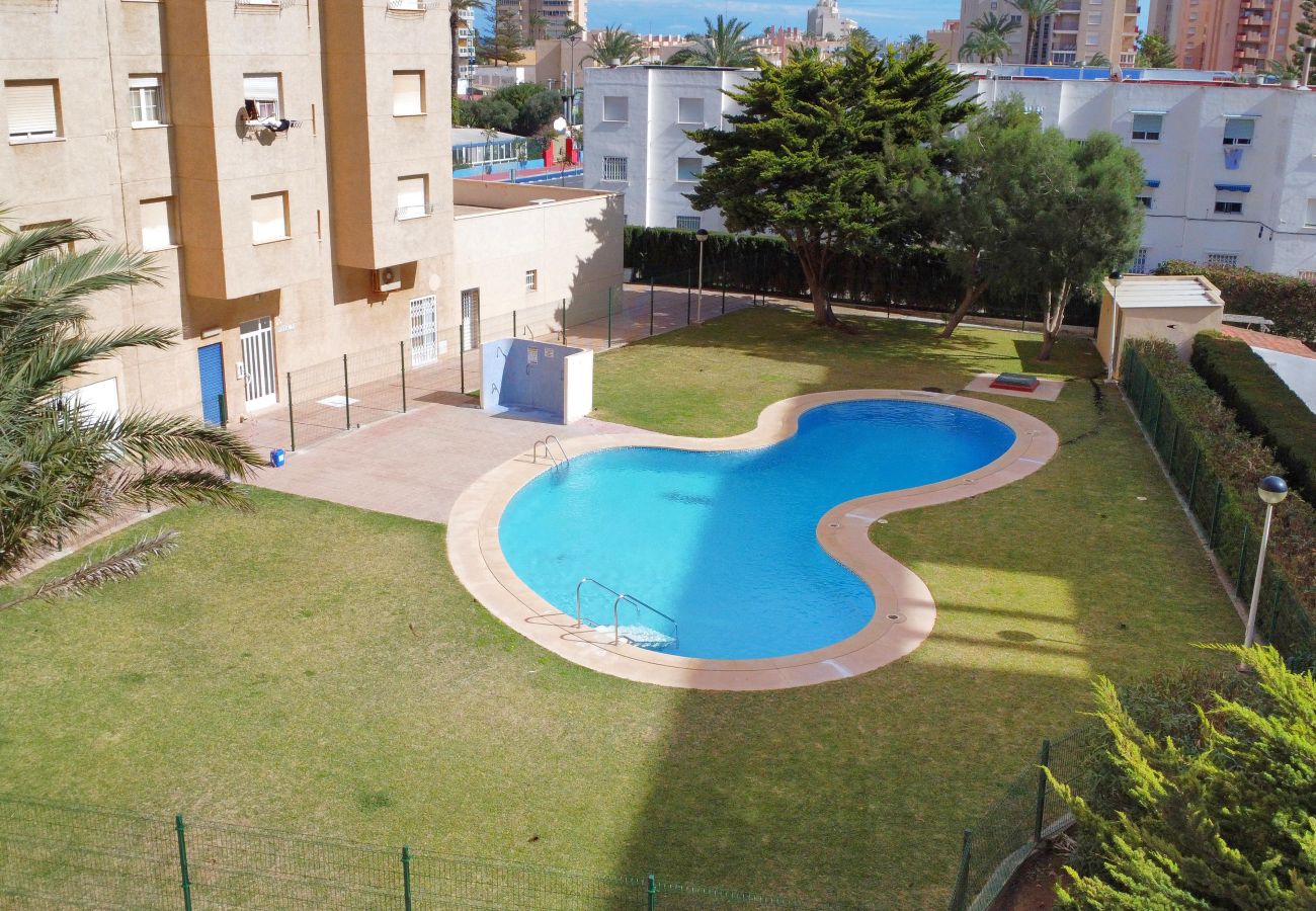 Apartamento en La Manga del Mar Menor - APARTAMENTO LA MANGA GRAN SOL